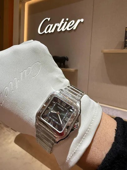 LOUIS VUITTON Watch Trunk Trunk